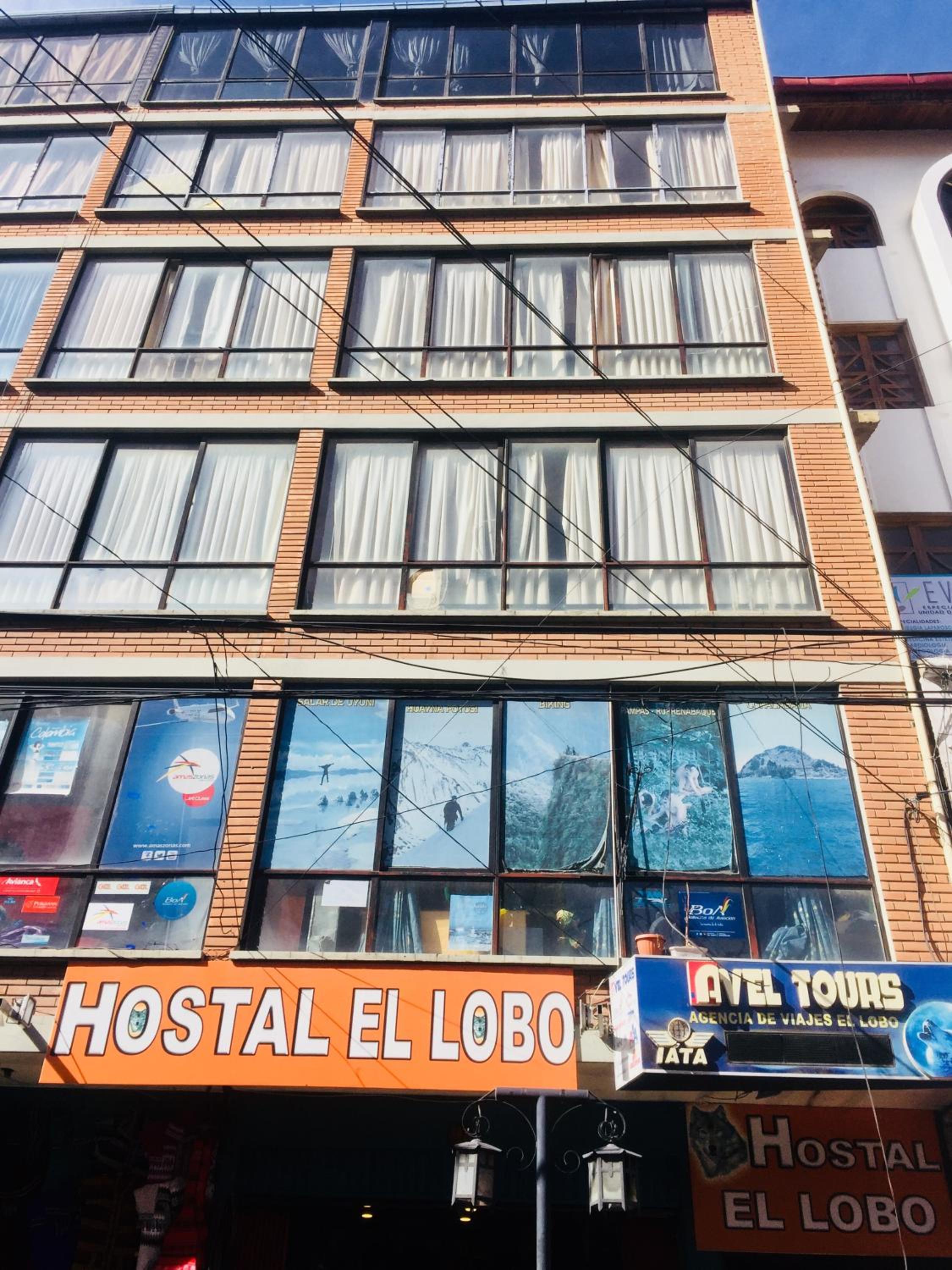 Lobo Hostel La Paz