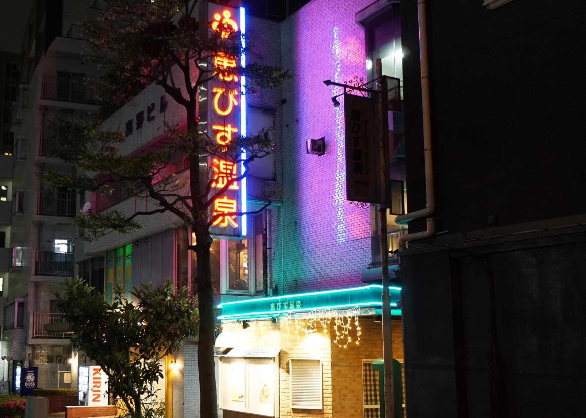 Yokohama Classic Apartment