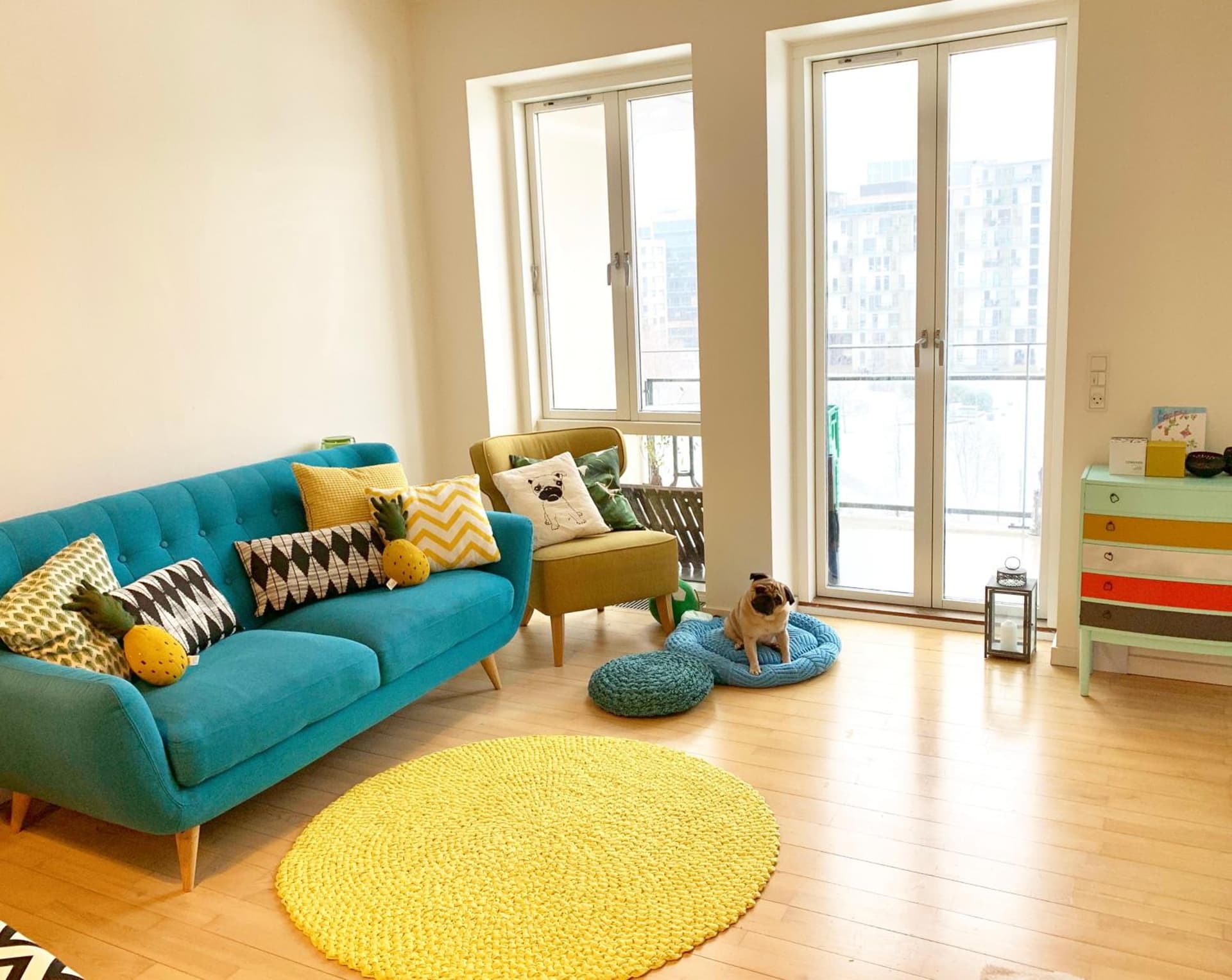 Cute Pug Guest Room