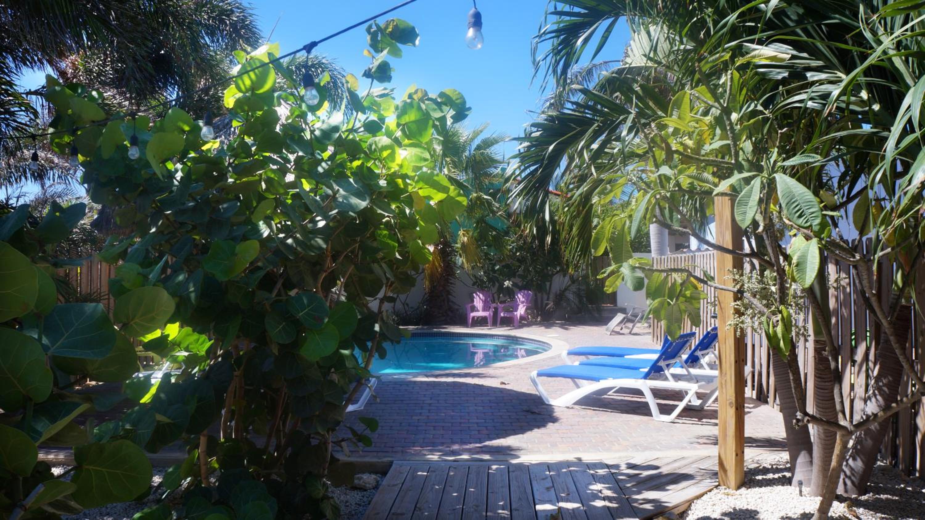Aruba Palms Escape Suites