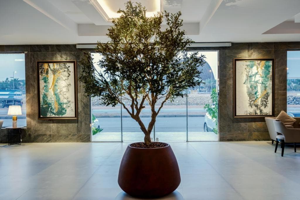 Viola Gardens Residence economic serviced apartments فيولا جاردنز ريزيدنس شقق مخدومة اقتصادية