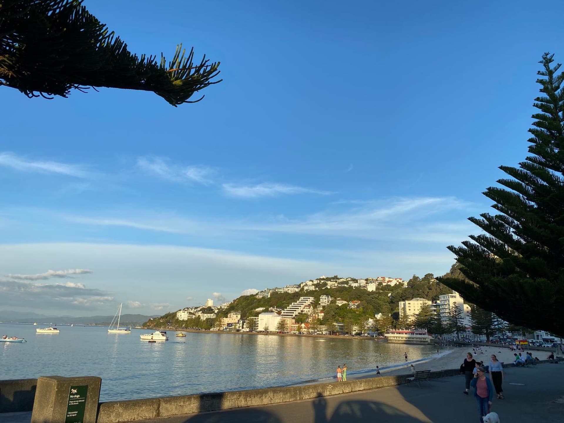 Beach house in Oriental Parade