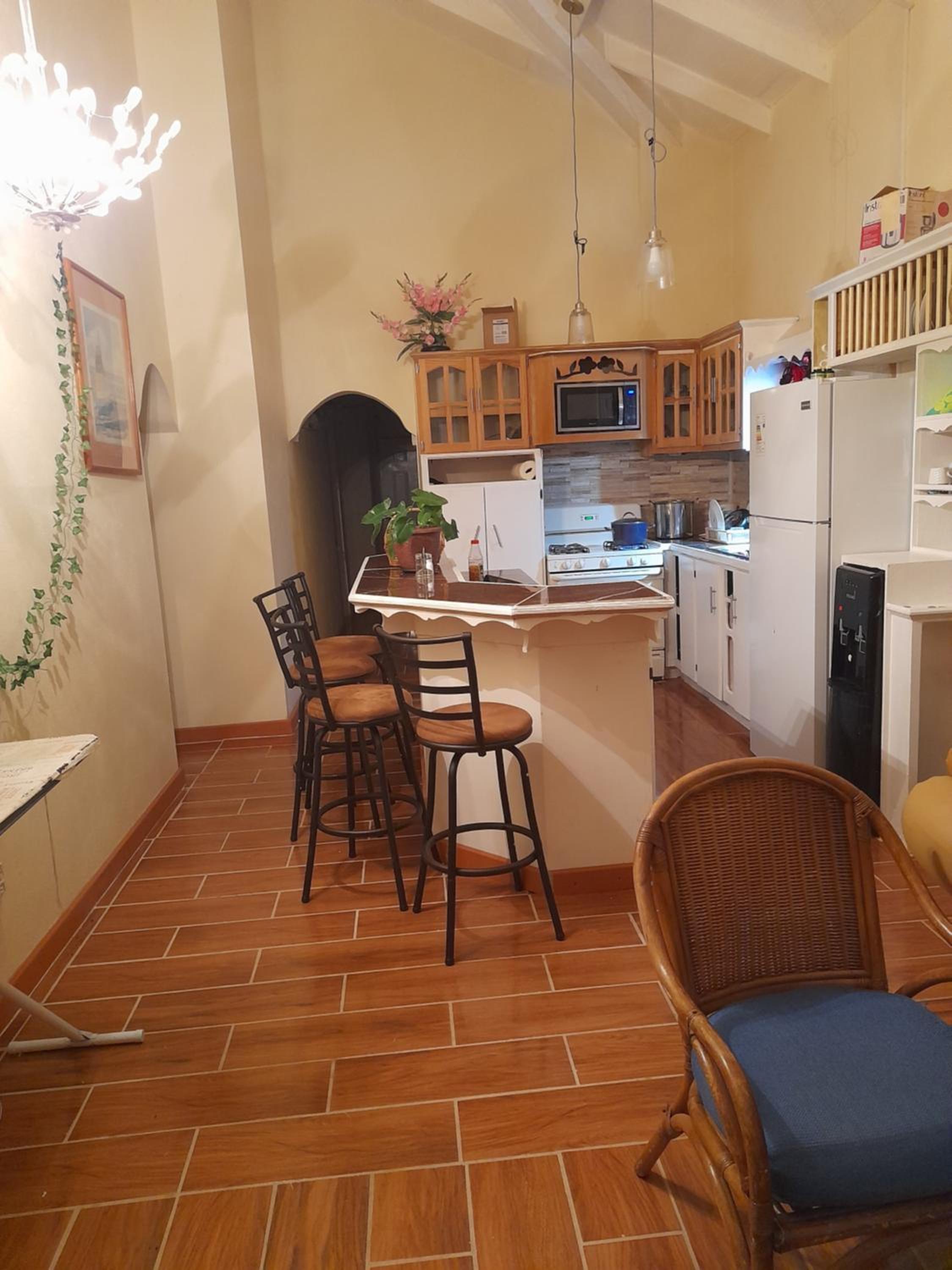 Alexander's Apartment Carriacou