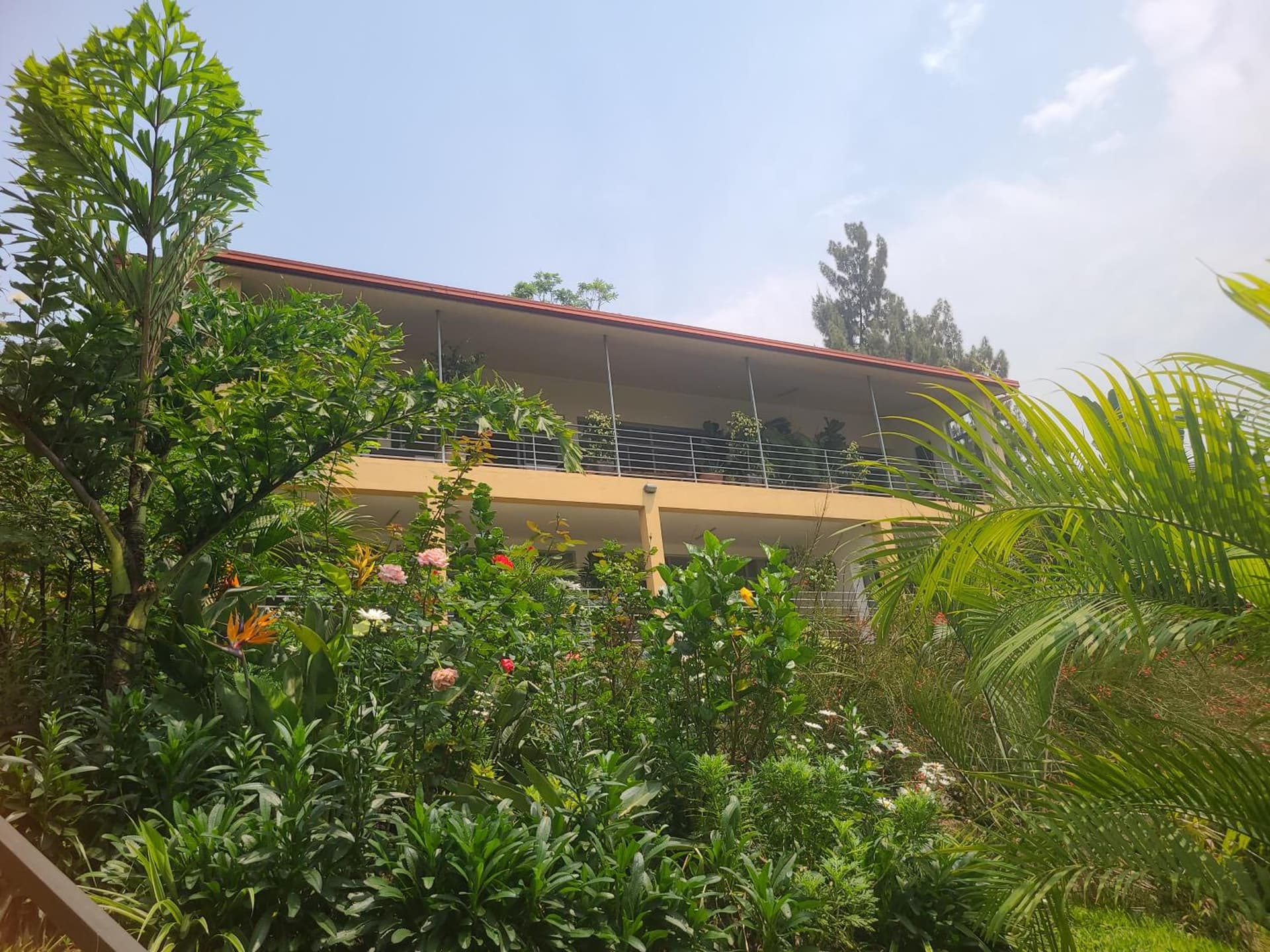 Rubavu Buy And Sell Ltd, real estate agency