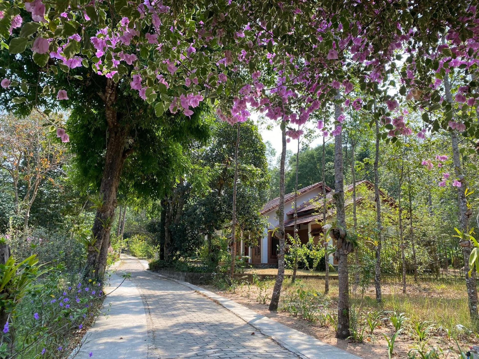 The Garden House Phu Quoc Resort