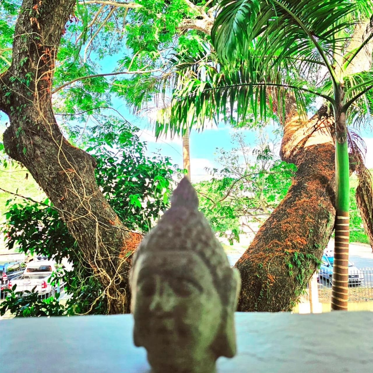 Carnival Zen Den