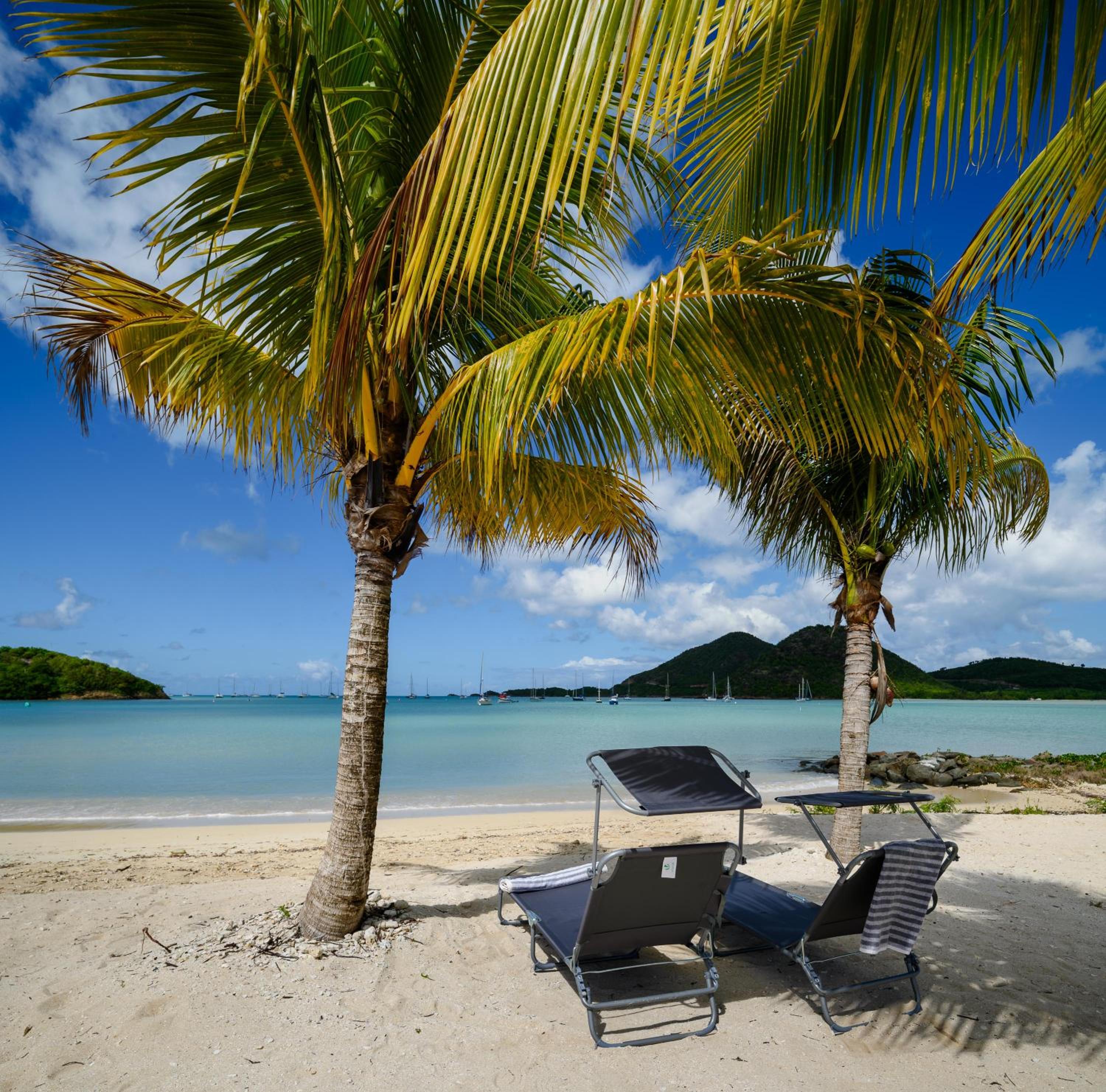 Wild Lotus Villa - Waterfront on Jolly Harbour