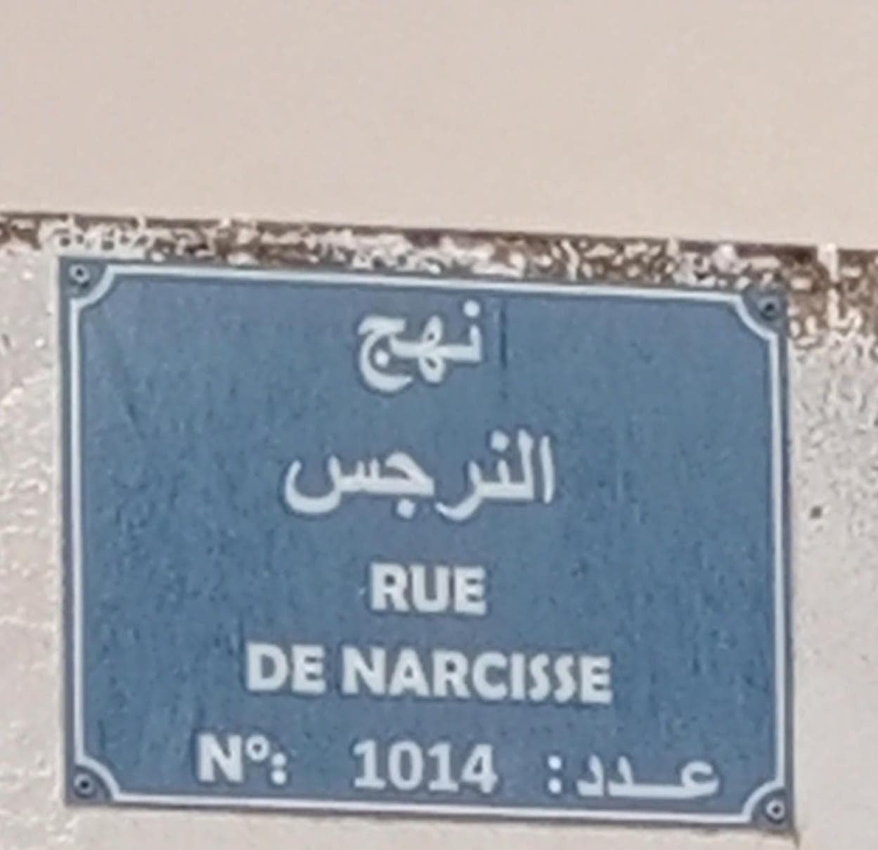 Appartement 1 résidence Lalla Baya