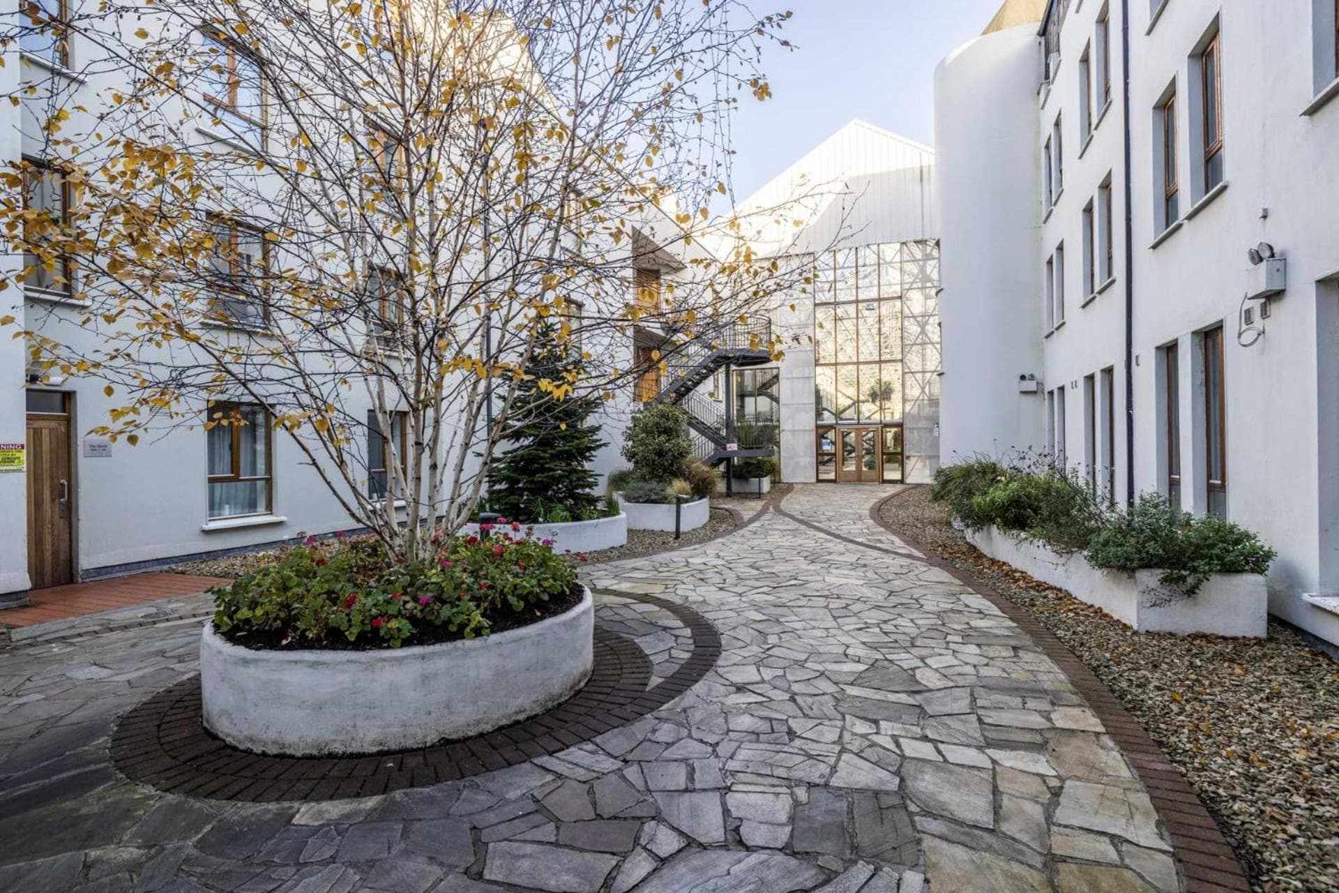 Cozy Apartment Steps from Everything - Heart of Dublin