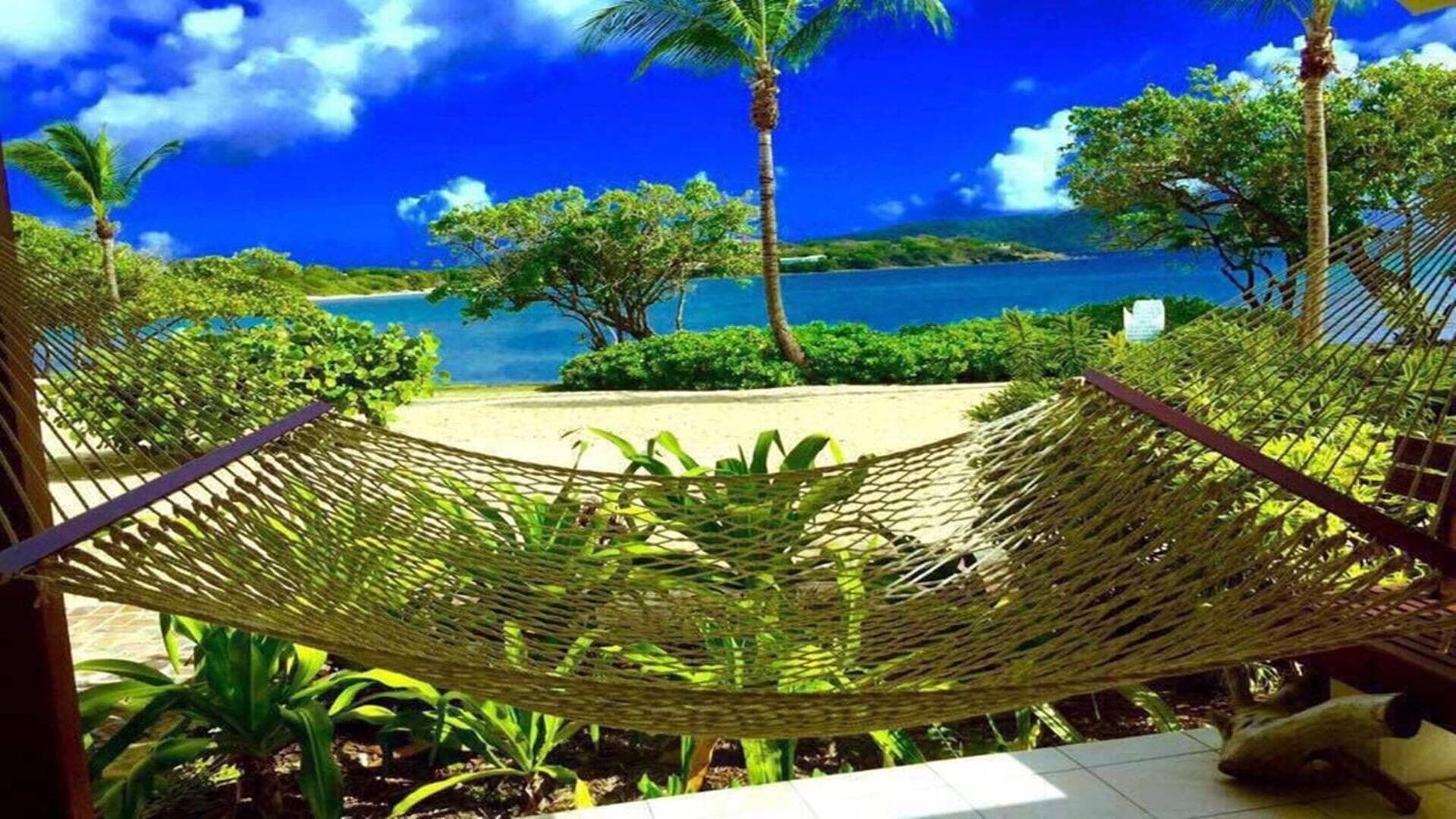 Luxurious Beachfront Condo!!! Paradise at your toes