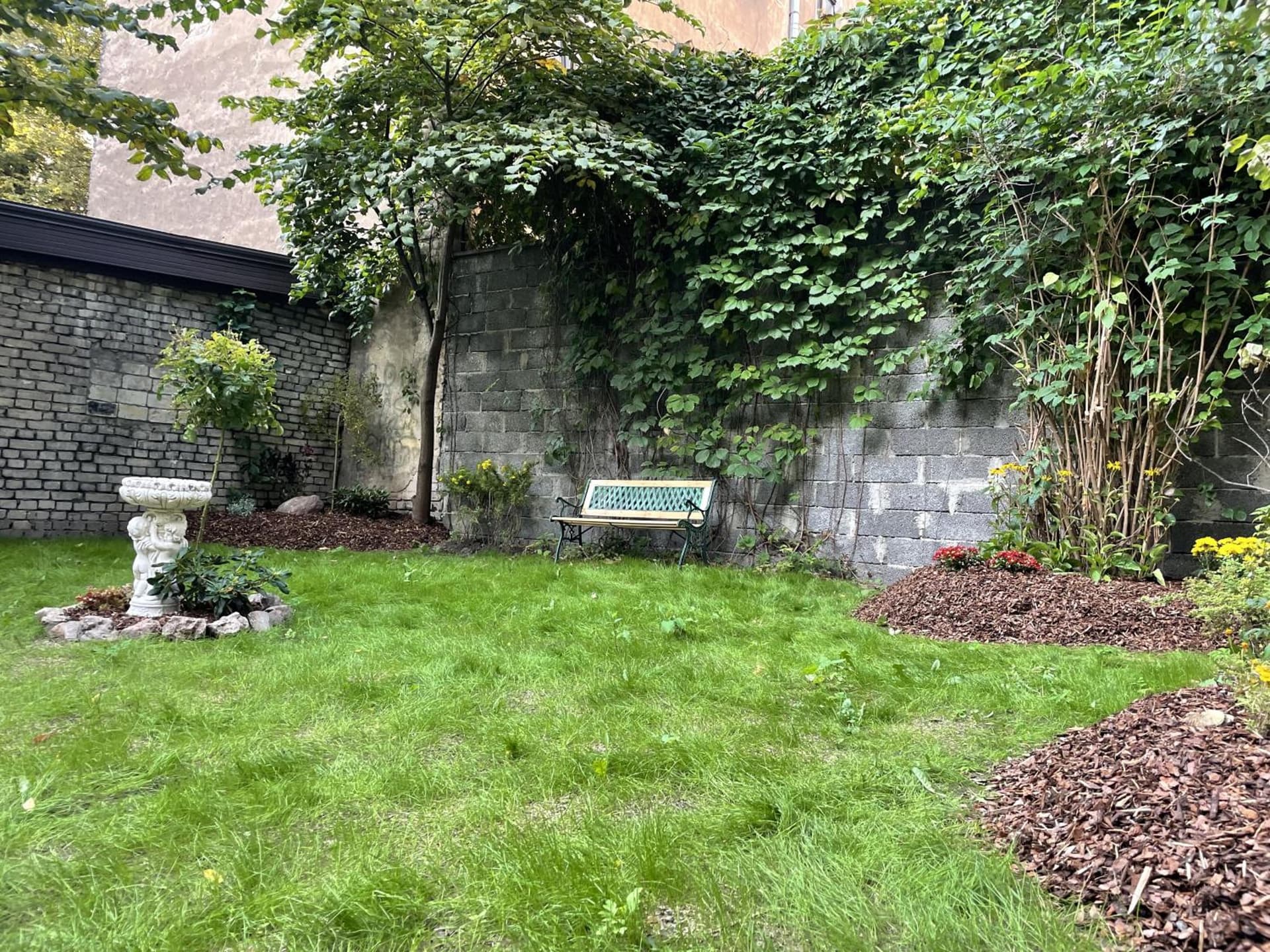 Exquisite & Steps to center 1Br Apt with Free Parking