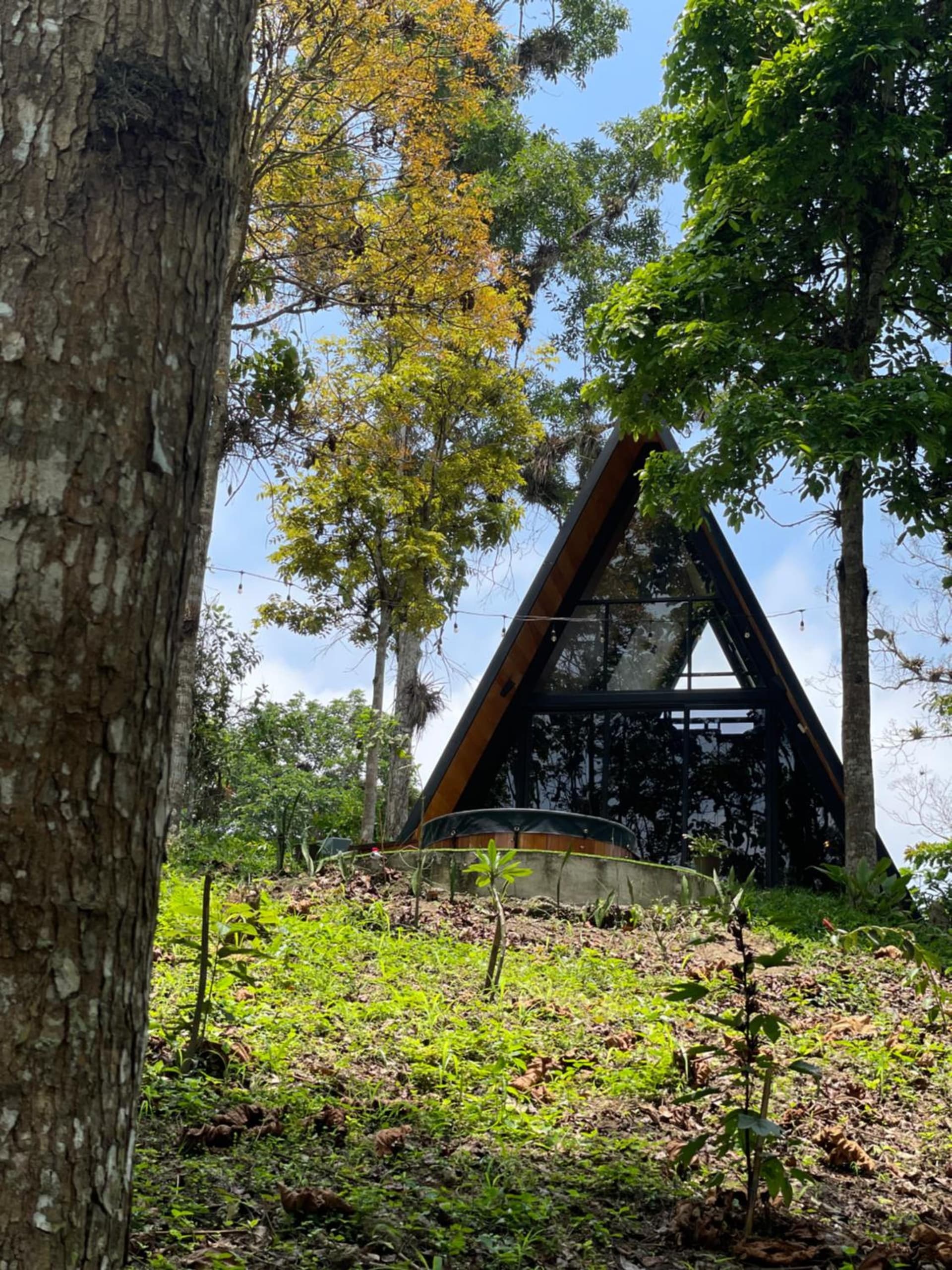 Cabaña Raices Habitat