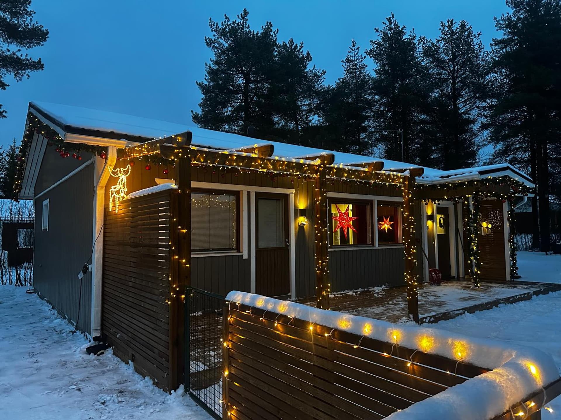 Reindeer Nest
