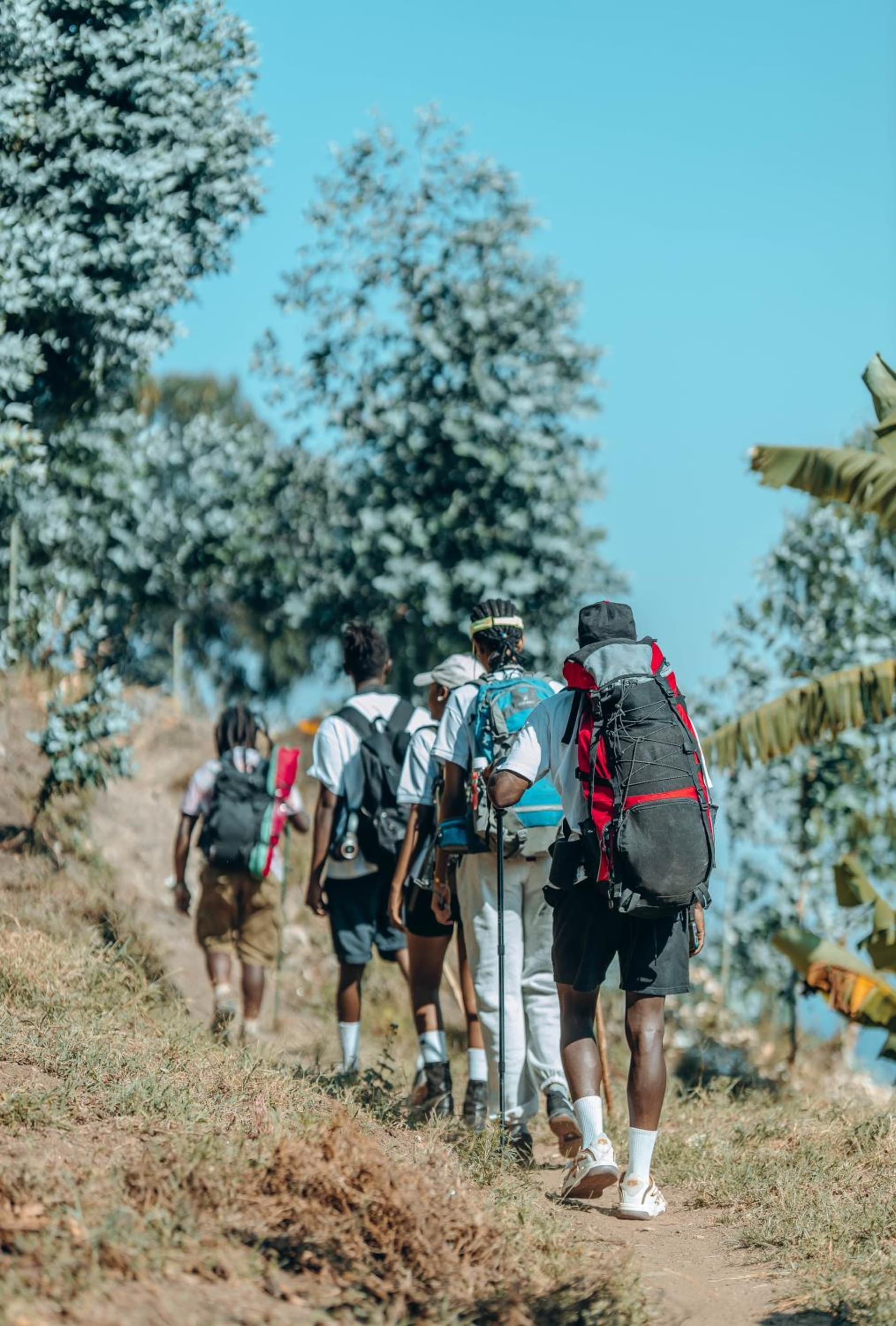 Nengo Adventure