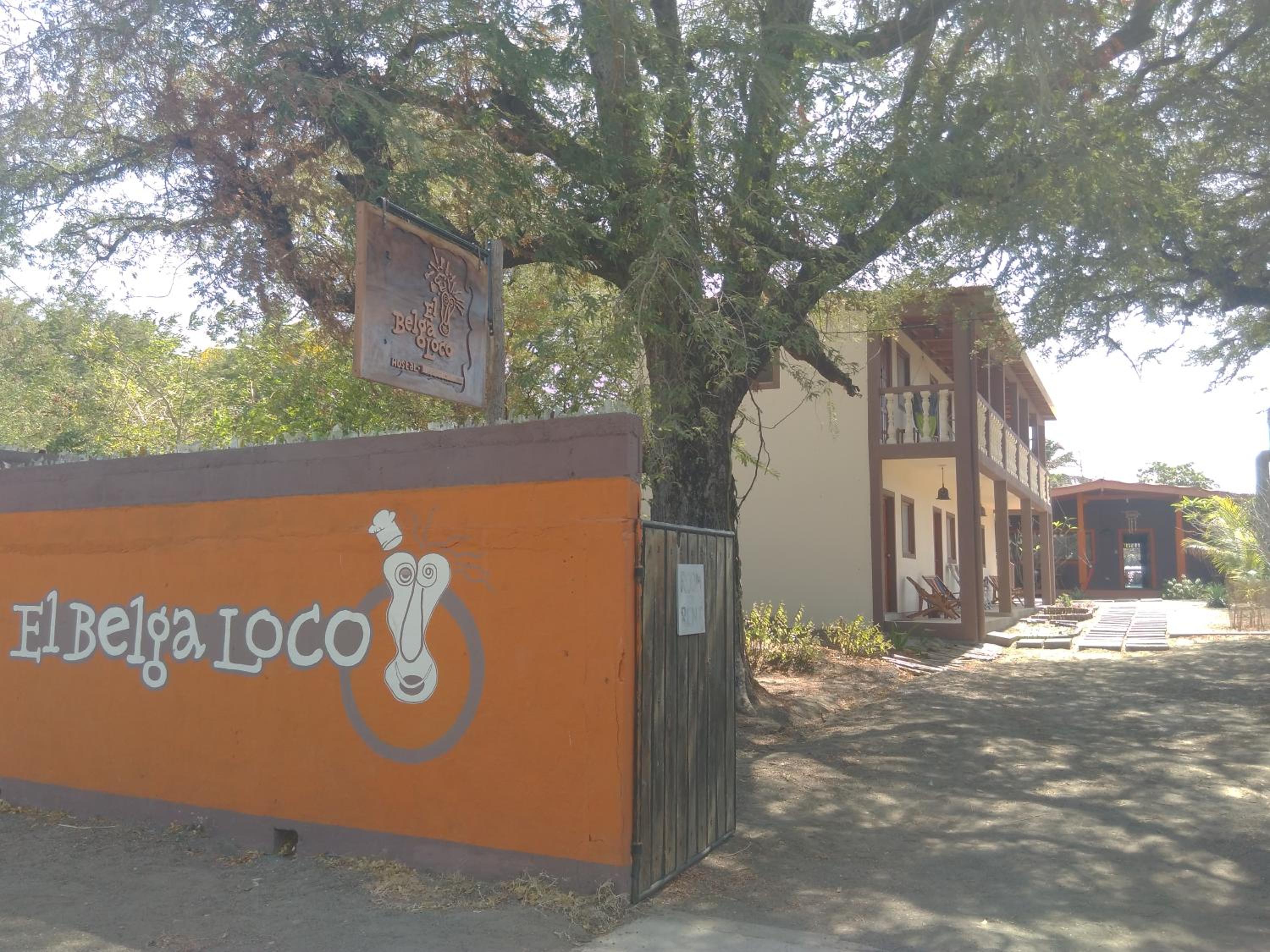 El Belga Loco