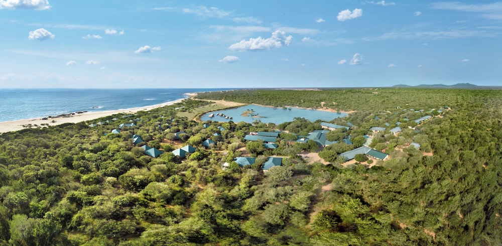 Cinnamon Wild Yala