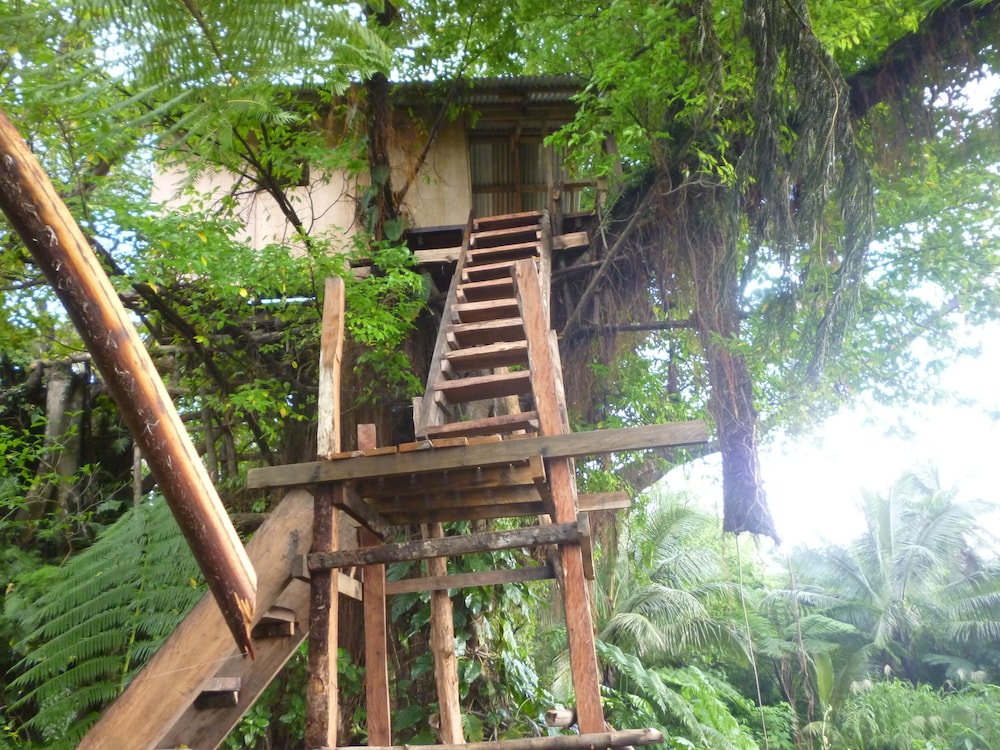 Castle Tree House