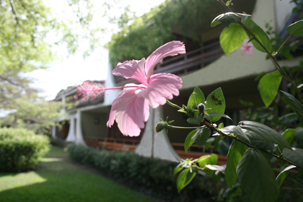 Hotel Club Du Lac Tanganyika