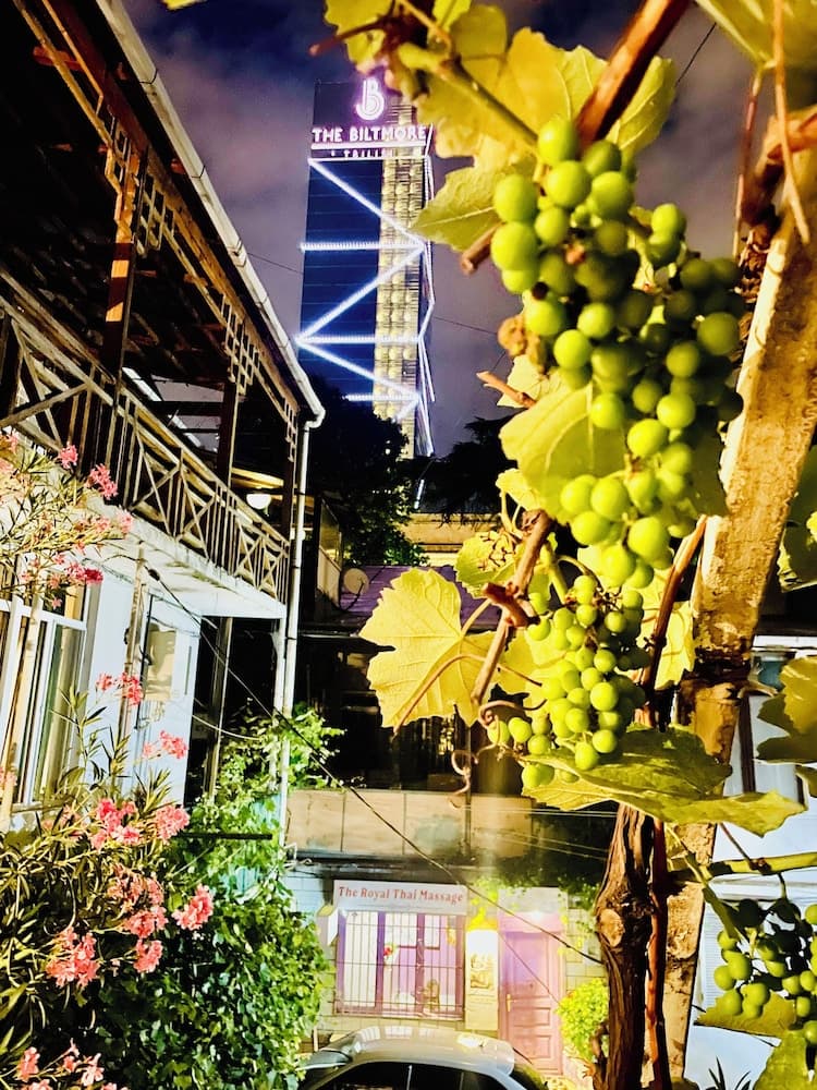 Bonvoyage Rustaveli Ave