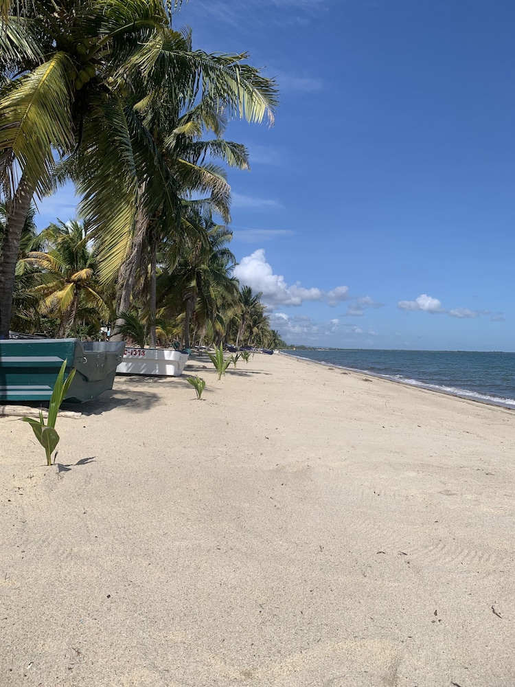 All Seasons Belize