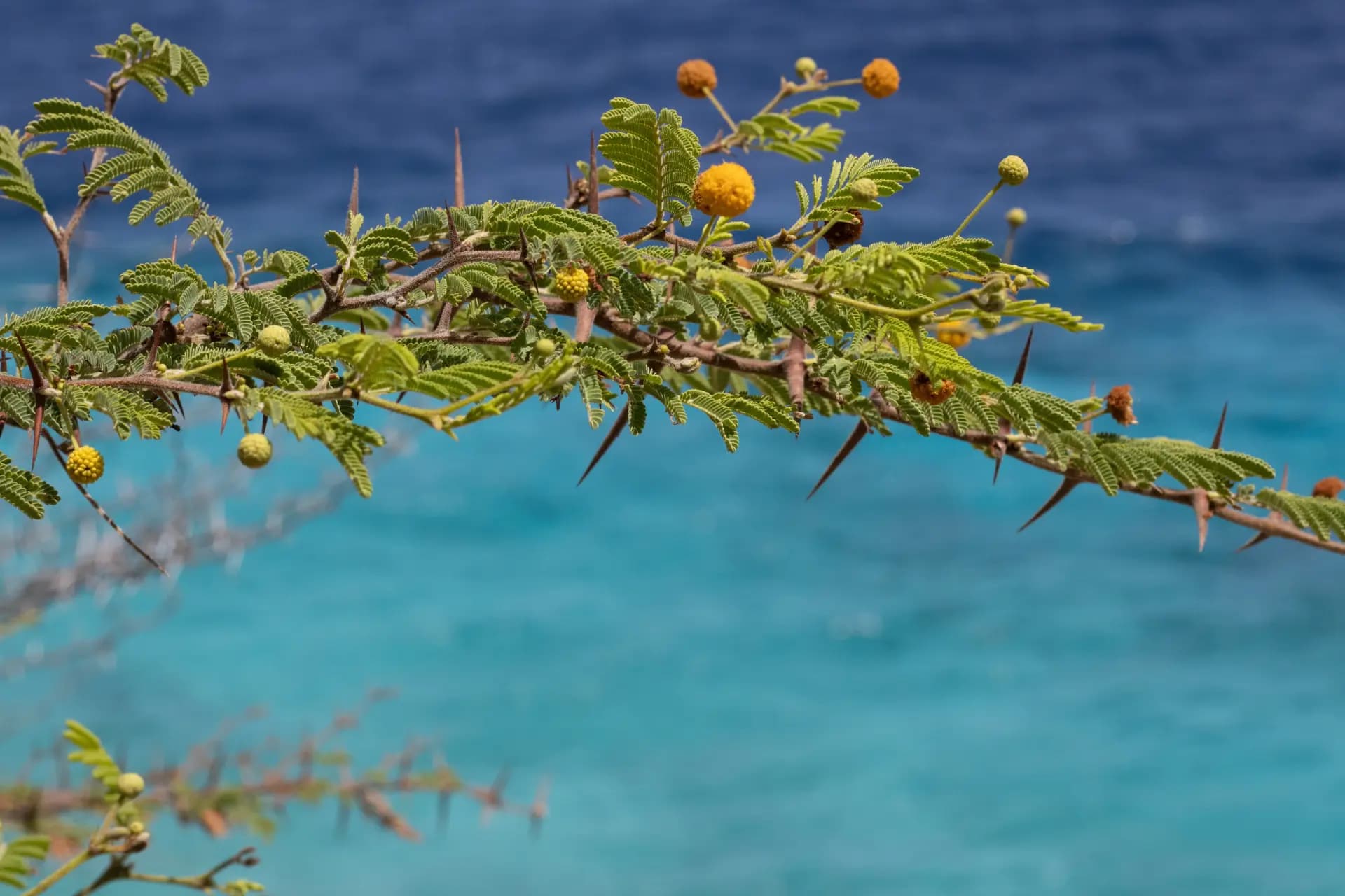 Tropical beach paradise — book your dream trip with PalapaVibez