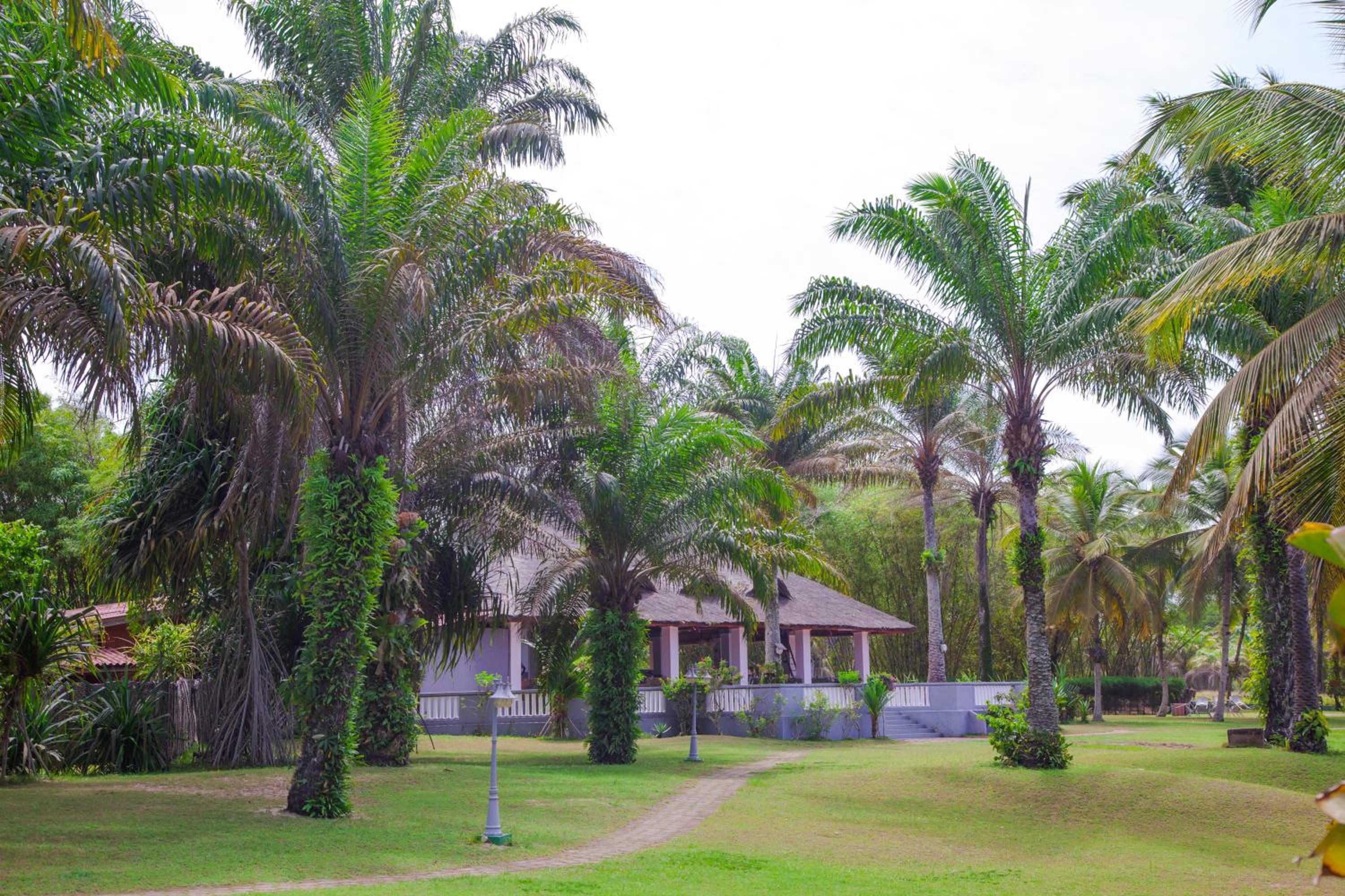 Hotels in Côte d’Ivoire