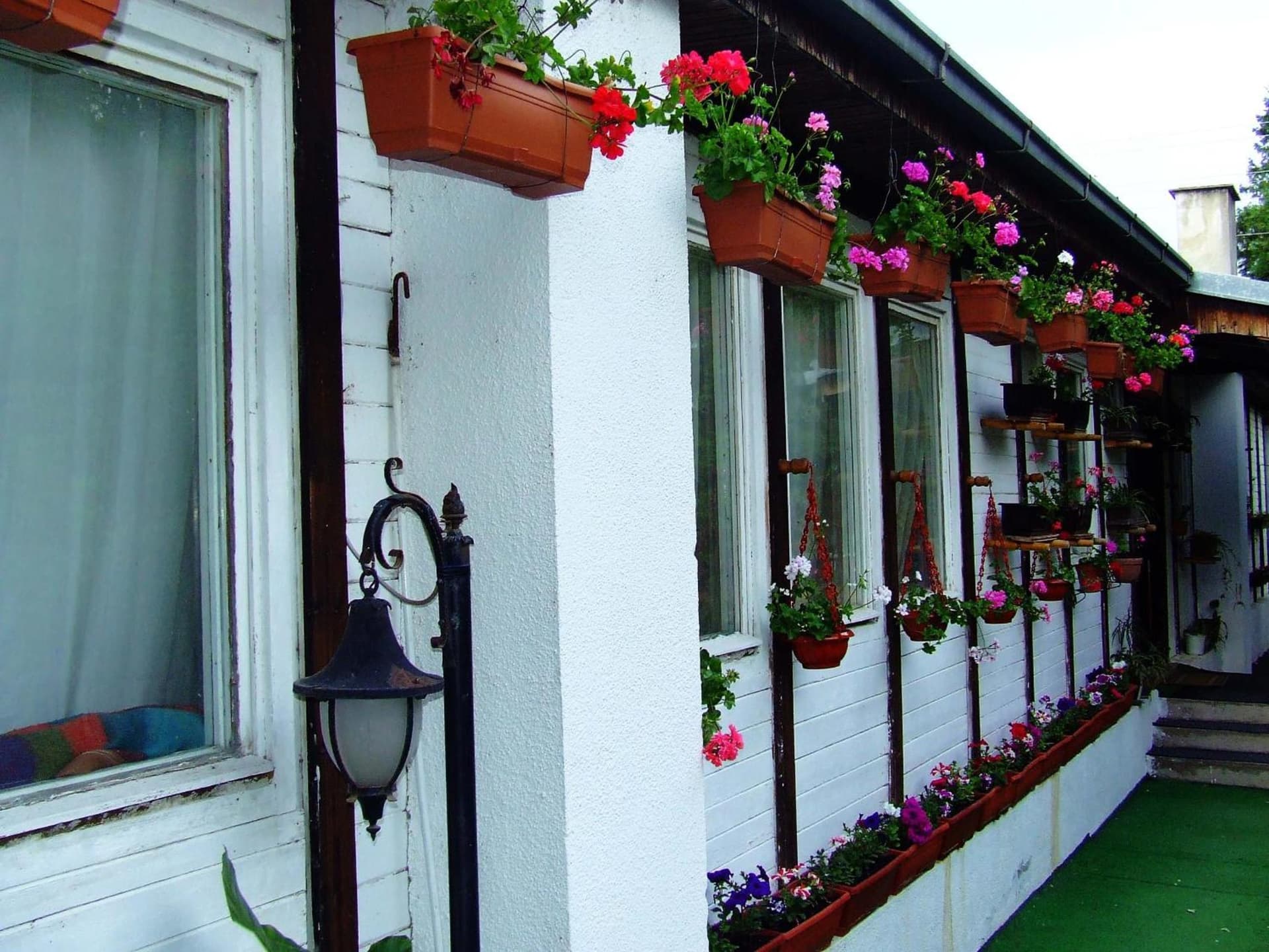 Hostel Domestika