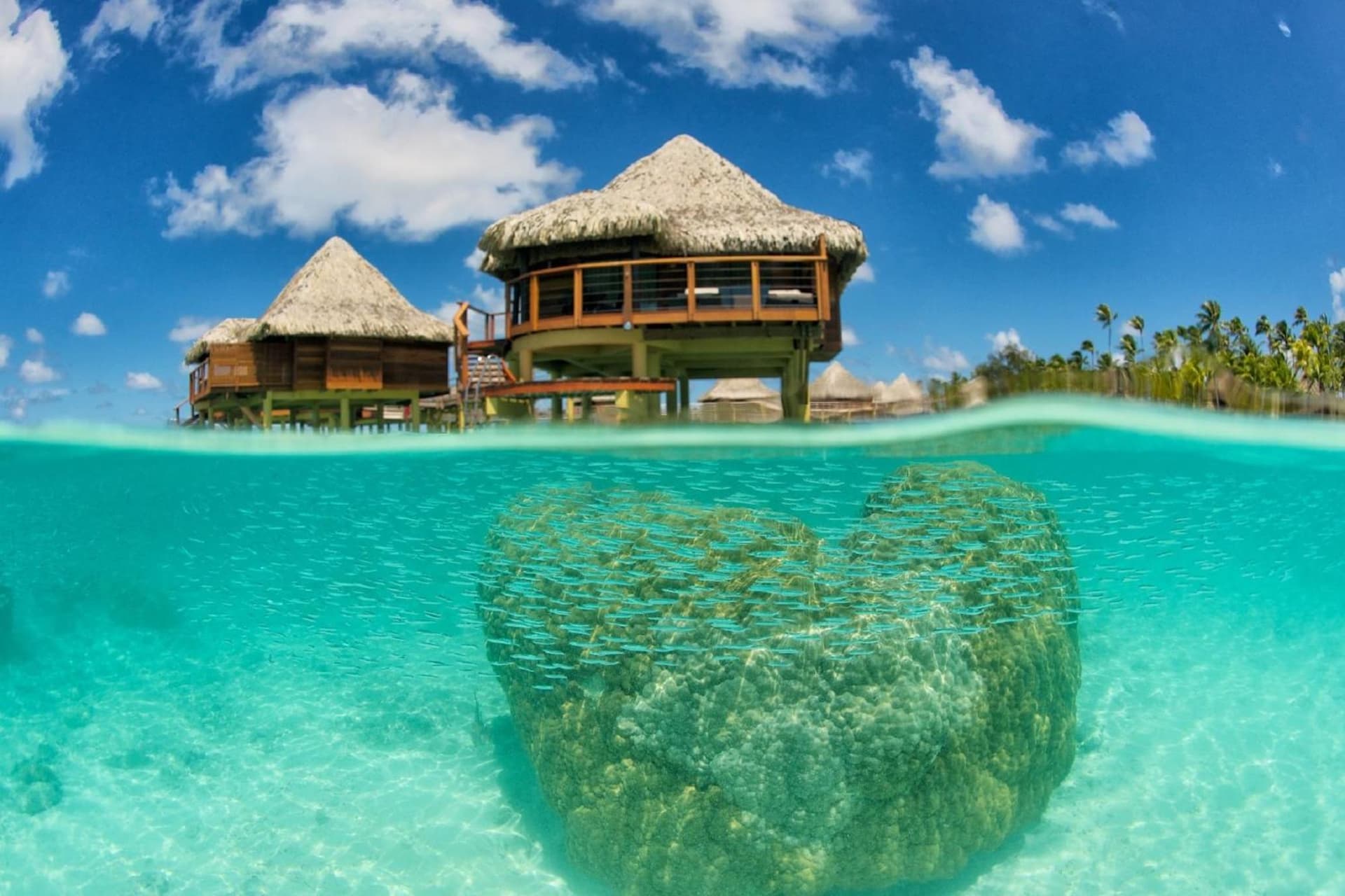 Hotel Kia Ora Resort & Spa