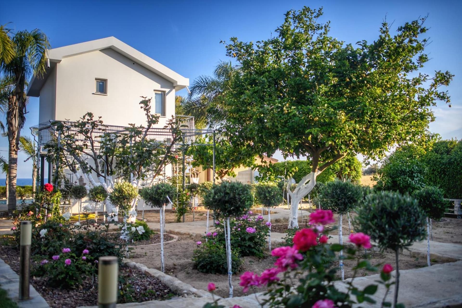 Oasis By The Sea - Cyprus