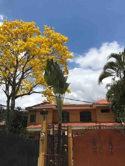 Townhouse Ejecutivo! En Rio de Piedras, Cortés
