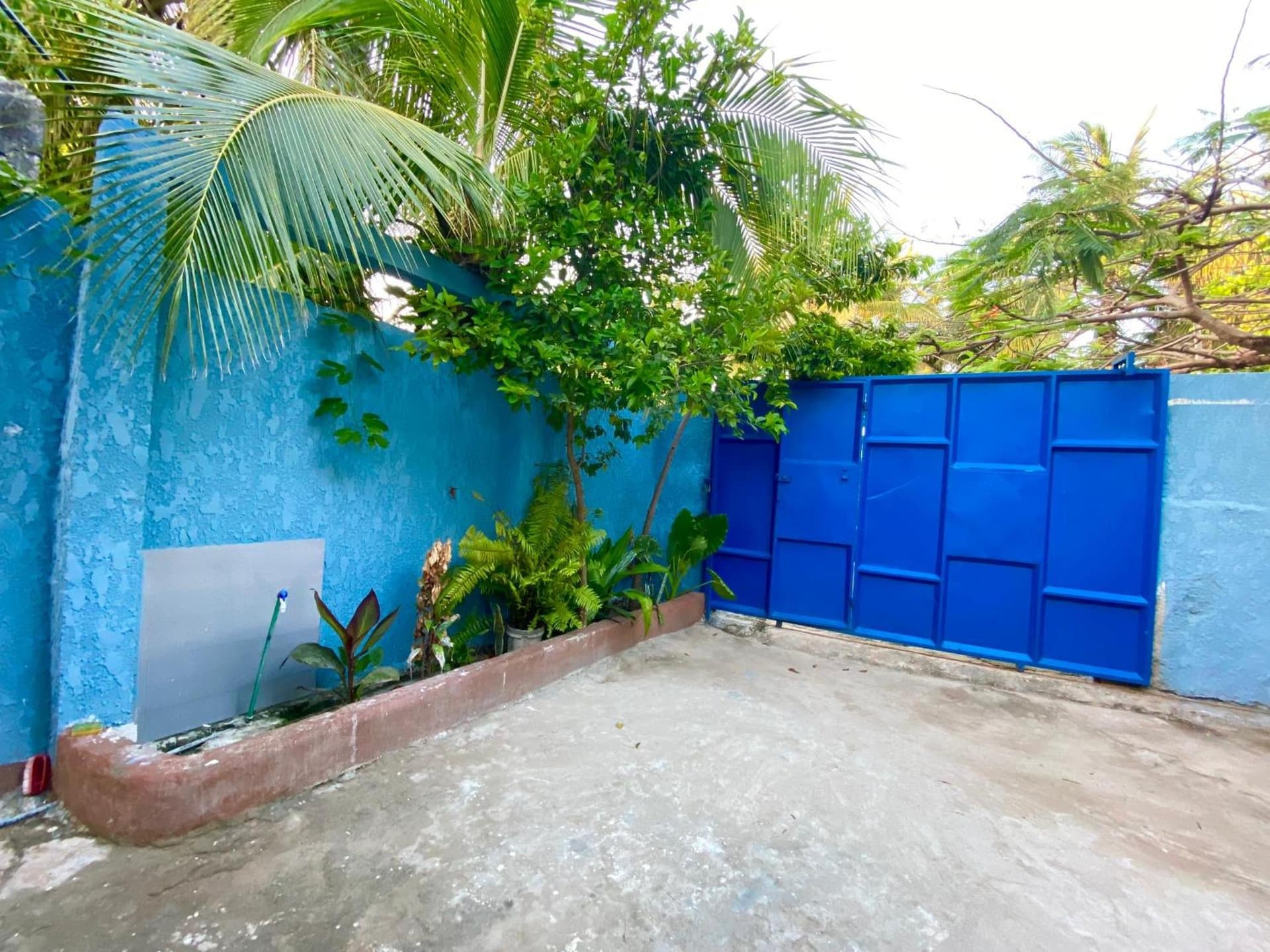 Blue house