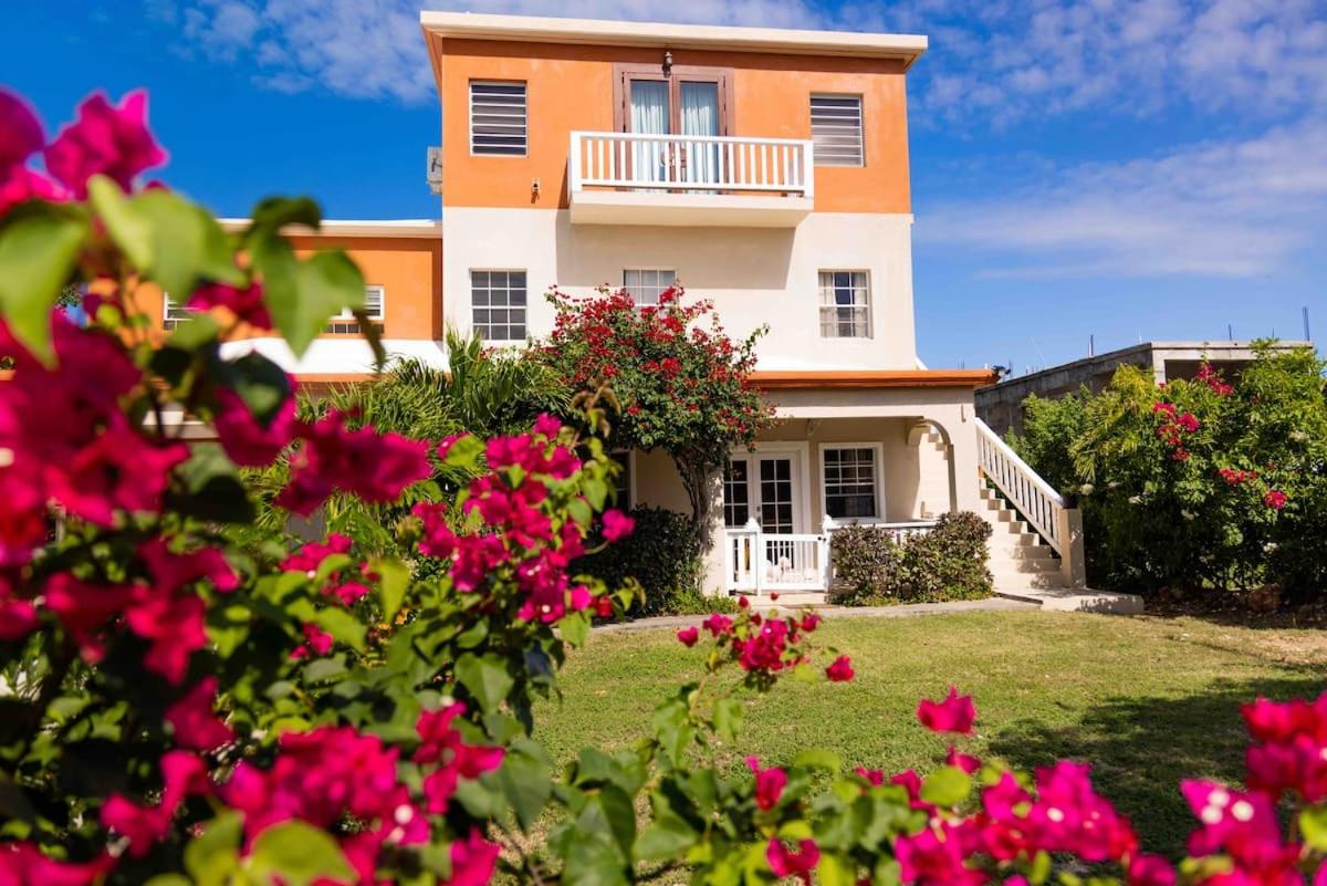 Hotels in Anguilla