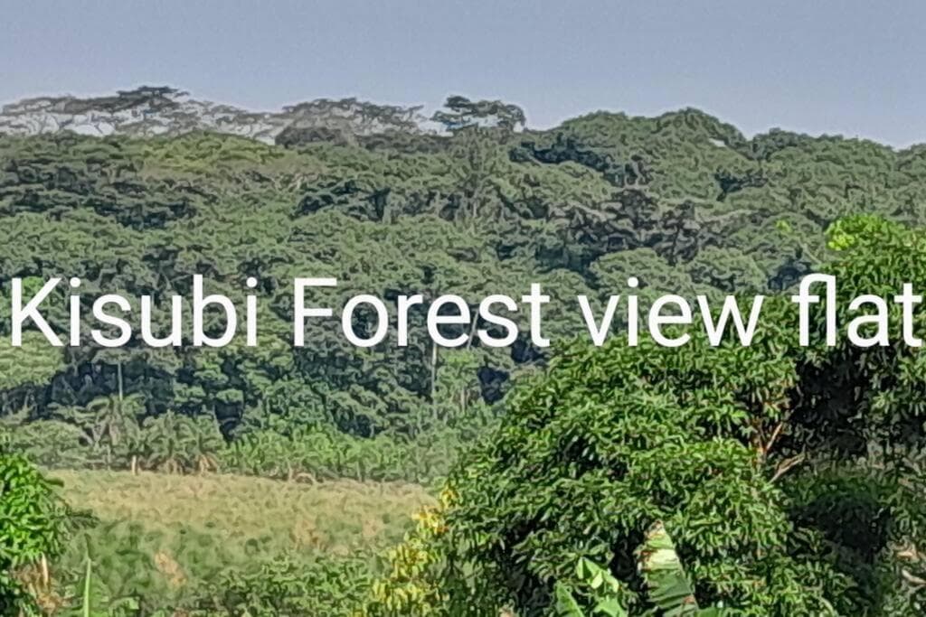 Kisubi Forest View