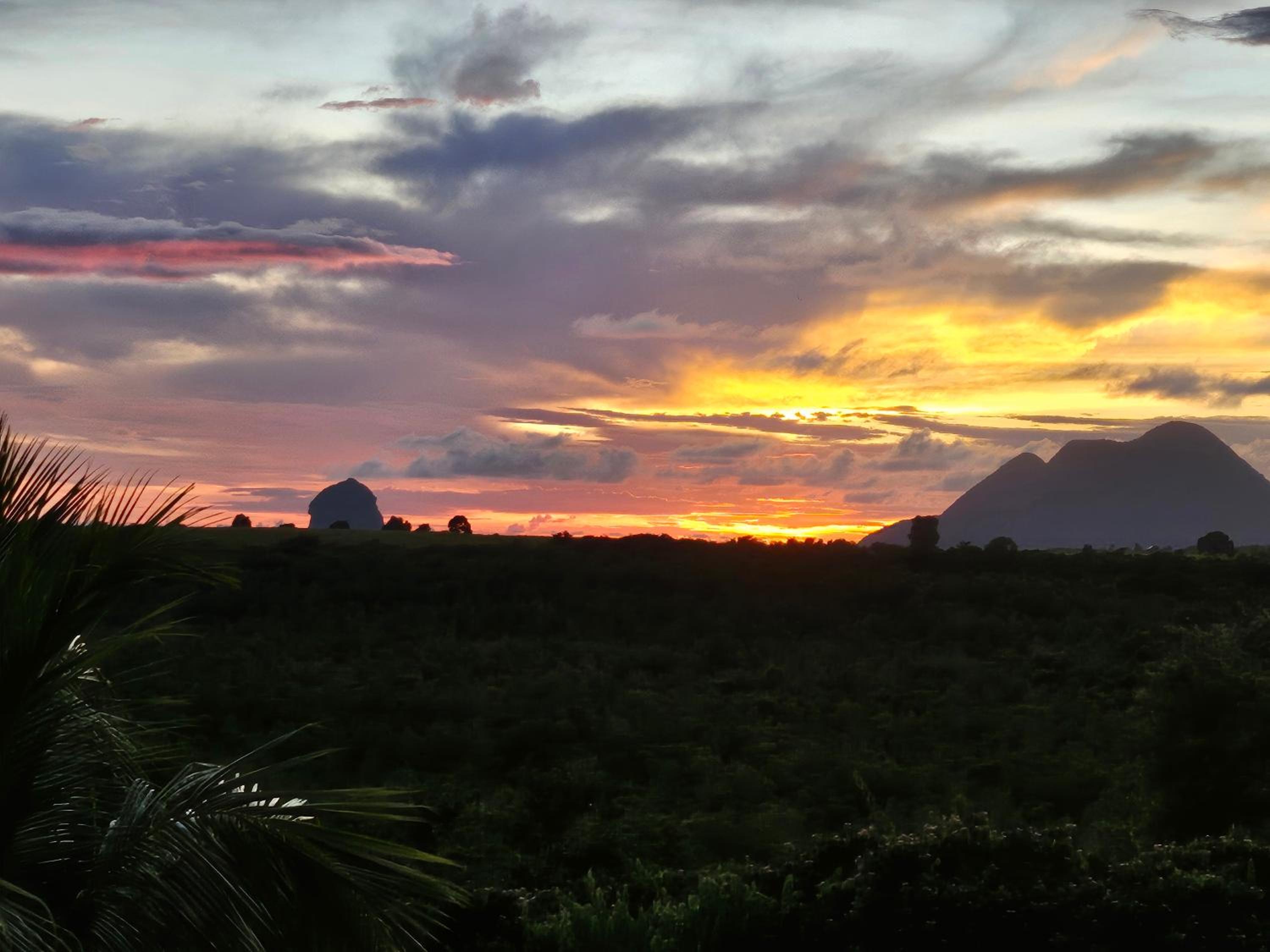 Hotels in Martinique