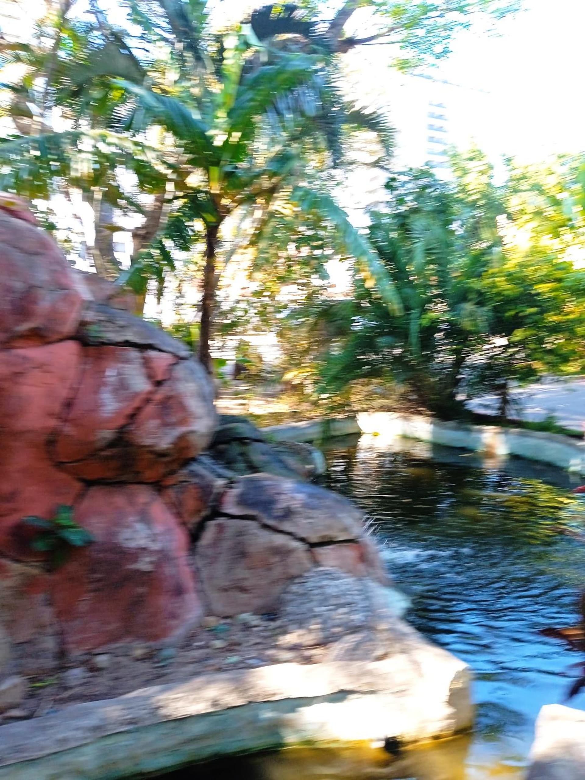 Acomodacao