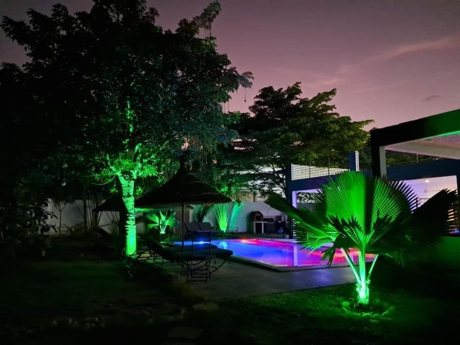 Palace Baobab