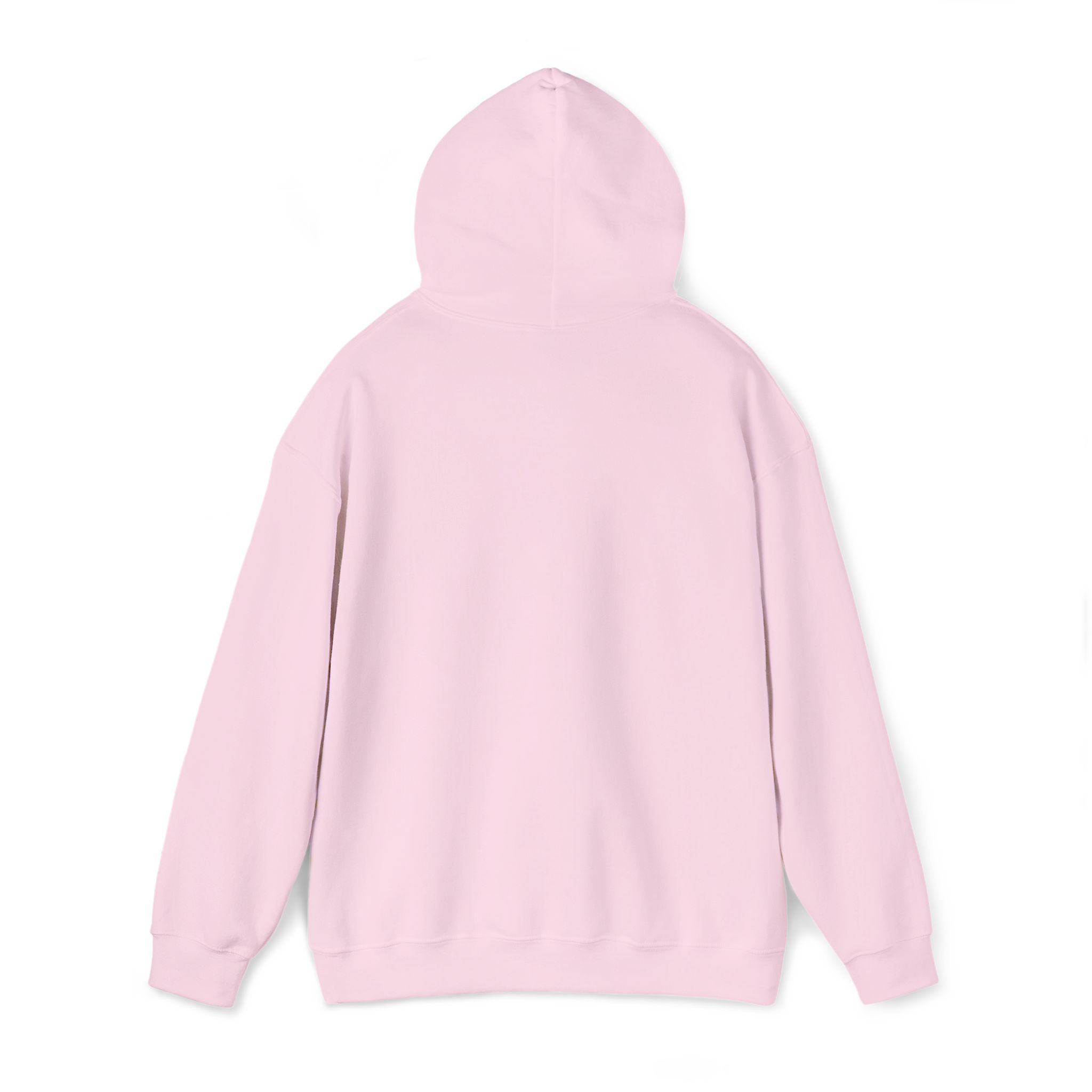 PalapaVibez Hooded Sweatshirt