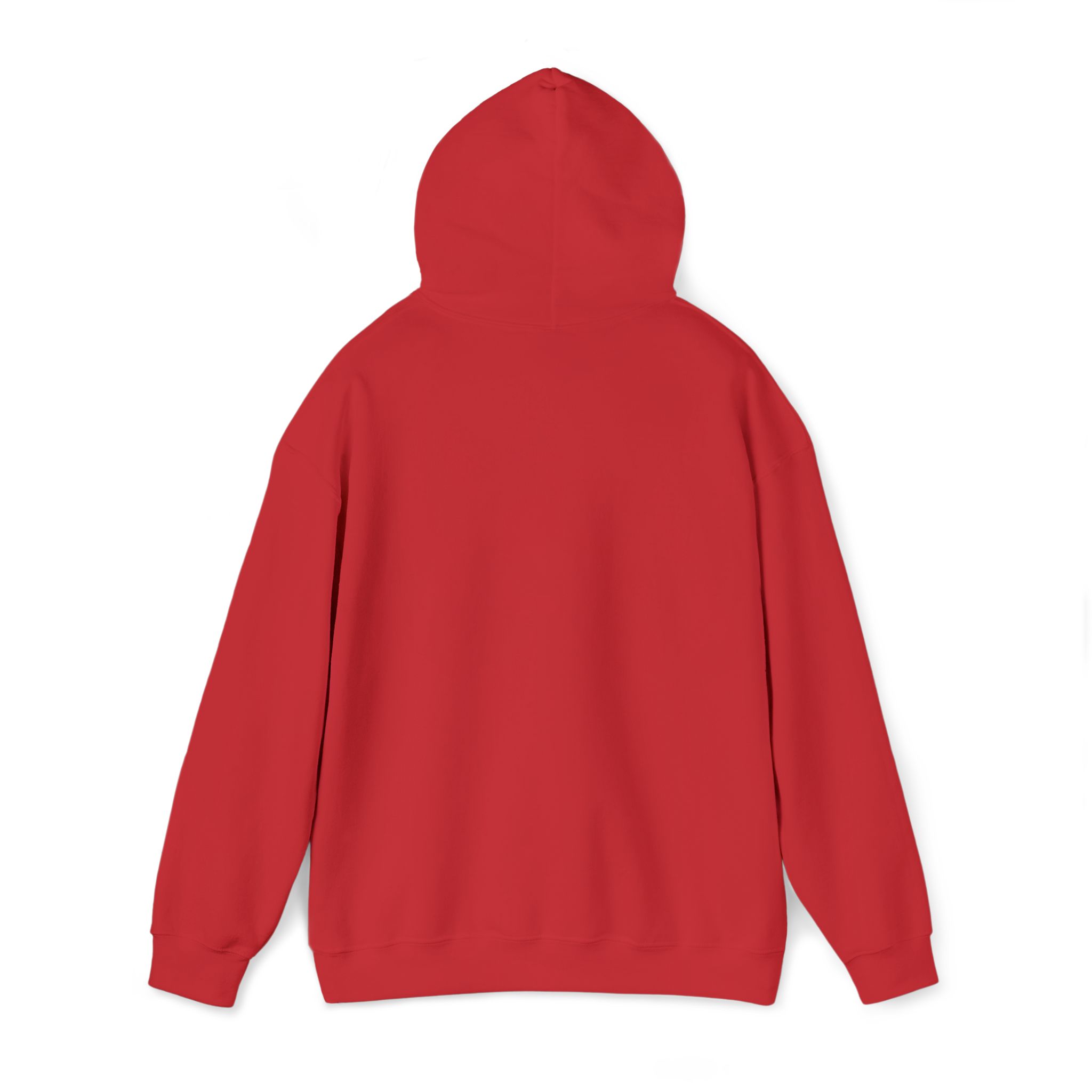 PalapaVibez Hooded Sweatshirt