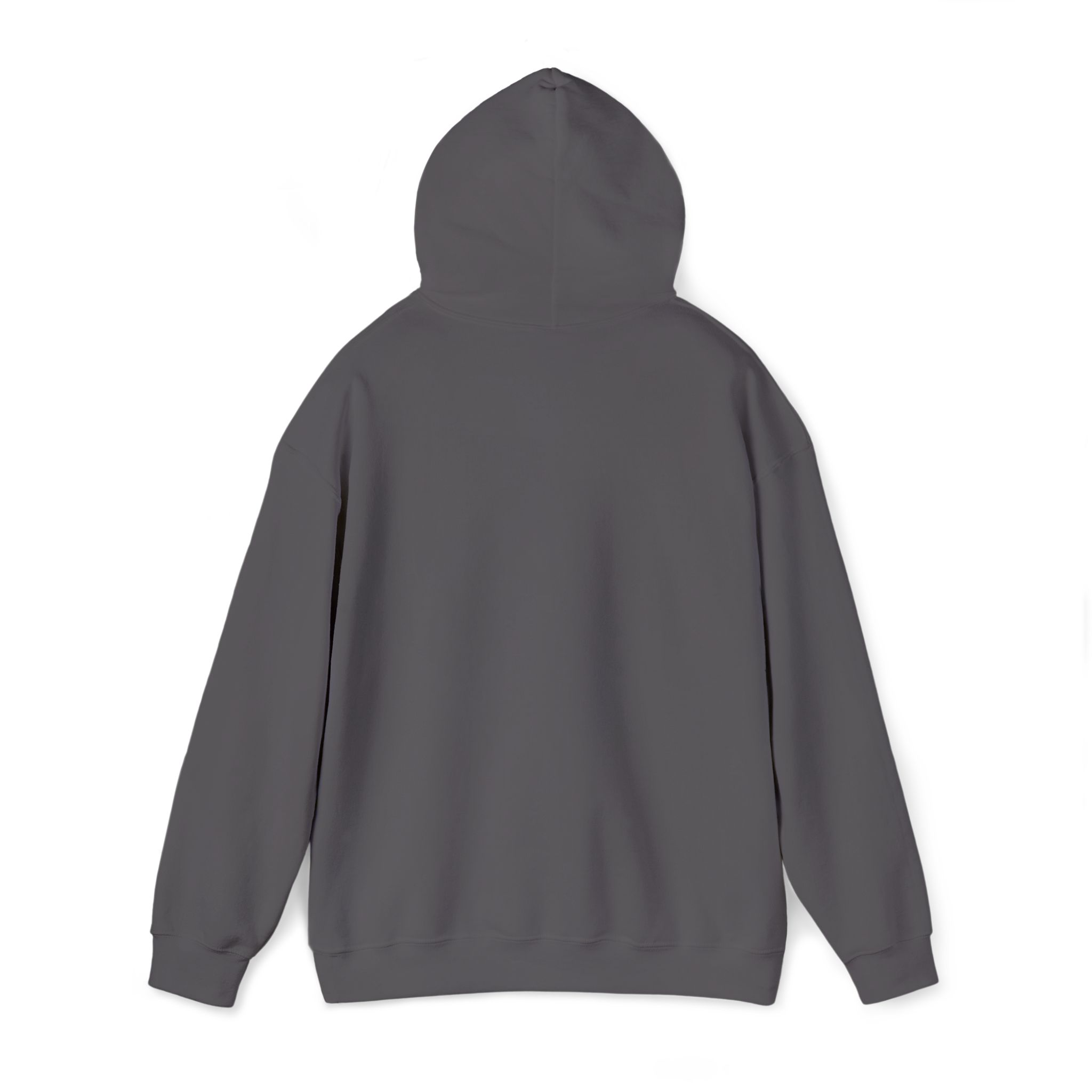 PalapaVibez Hooded Sweatshirt
