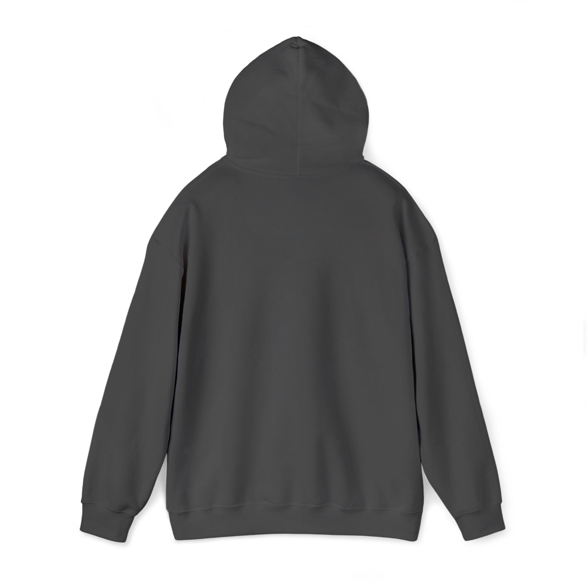 PalapaVibez Hooded Sweatshirt