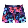 PalapaVibez Aloha After Dark Swim Shorts